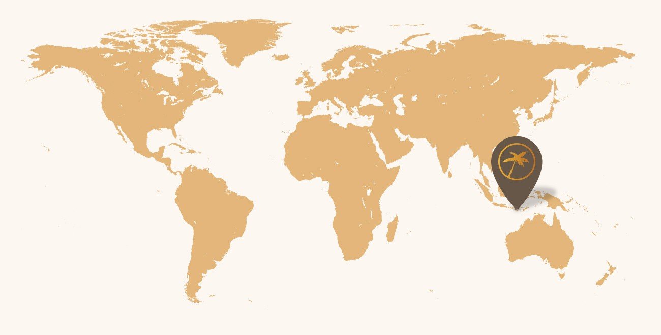bali mapa sveta Mapa ostrova Bali   Kde leží Bali   DELUXEA bali mapa sveta