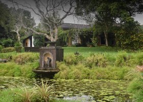 sri-lanka-hotel-saman-villas-162.jpg