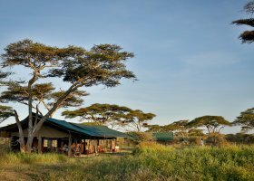 Serengeti Nyikani Migration Camp
