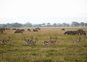 tanzanie-hotel-laba-migration-camp-042.jpg
