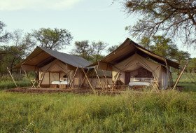 Family Tents