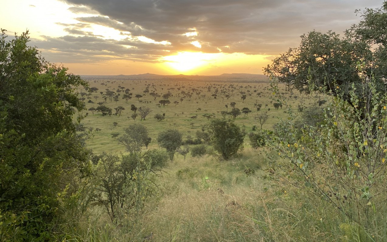 Tarangire, Ngorongoro a Serengeti